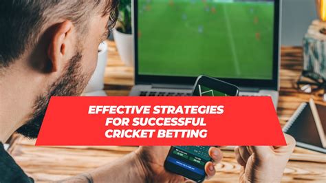 shabikibet|The Best Cricket Betting Strategies Revealed With ShabikiBet.